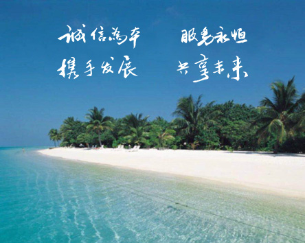 河南君诚对外经济技术合作集团有限公司-